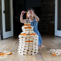Fat Brain Toy Timber Planks 300 Piece Set Clearance